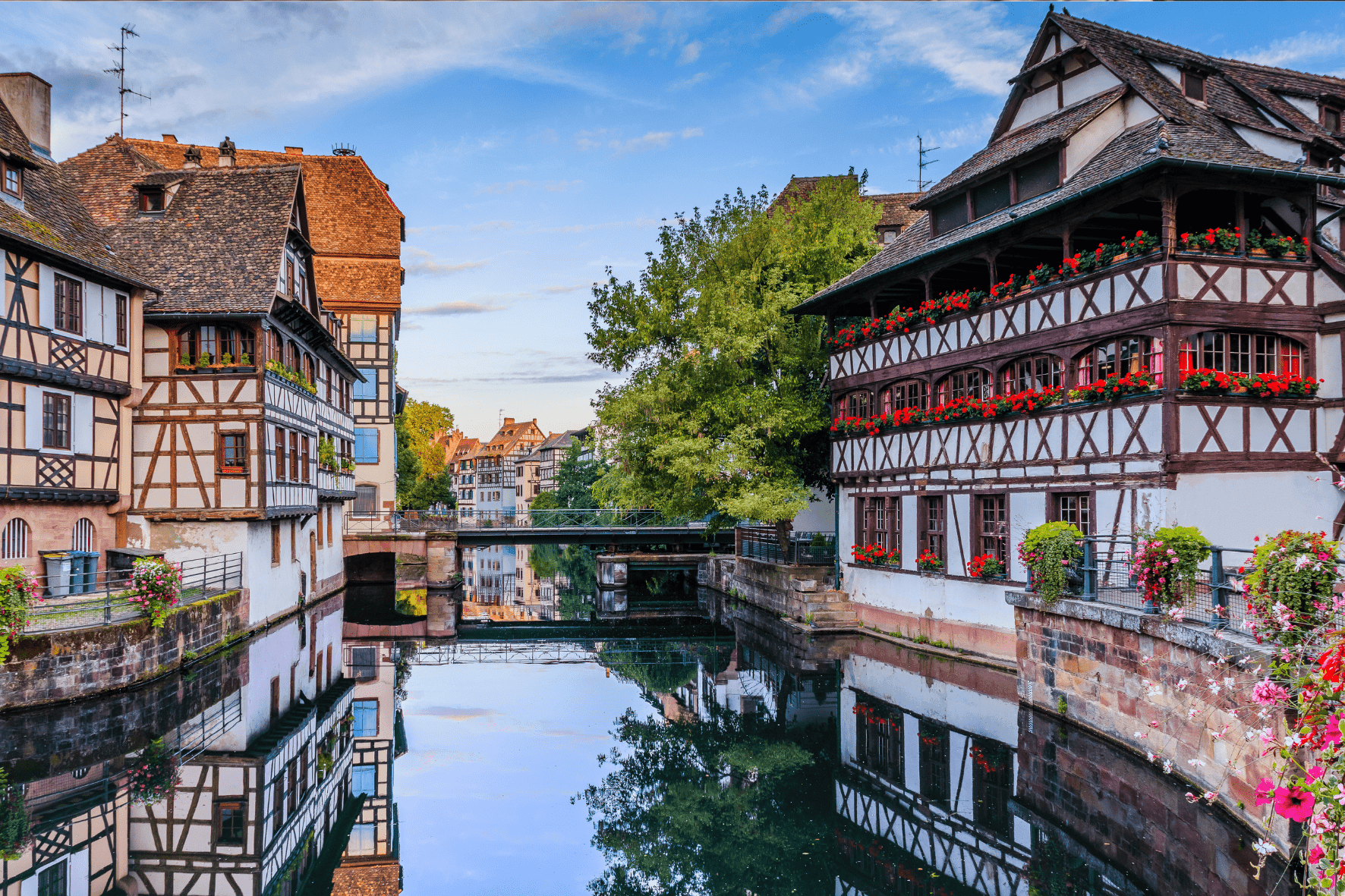 Lyon