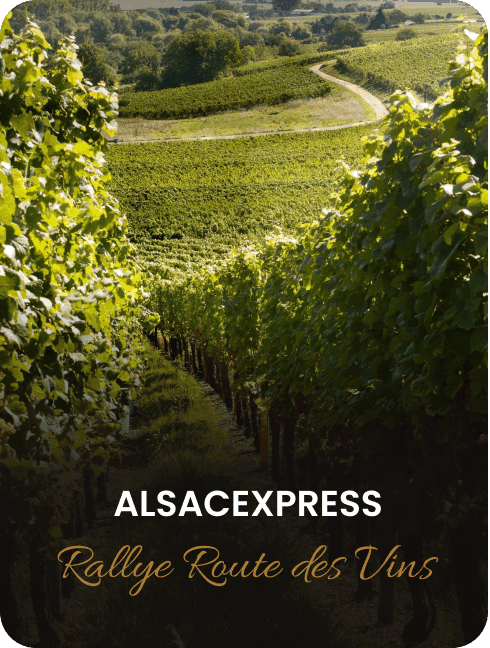 Alsacexpress Rallye Route des Vins
