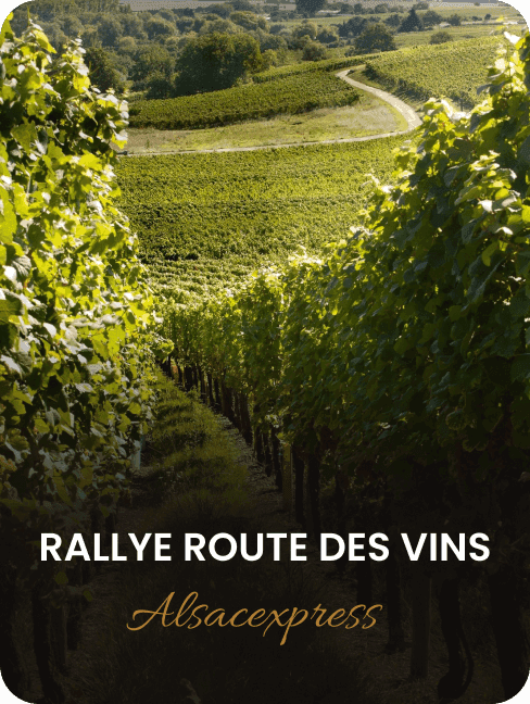 Rallye Route des Vins Alsacexpress