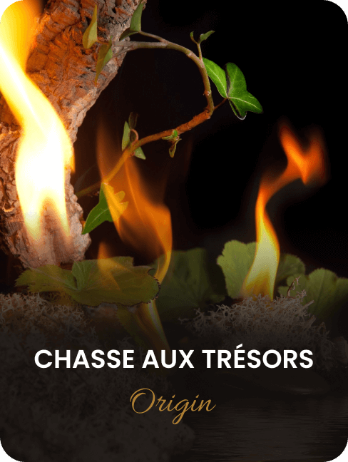 Chasse aux trésors Origin, les 4 élements
